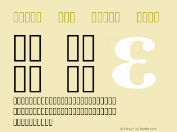 Times New Roman Bold Version 6.98图片样张