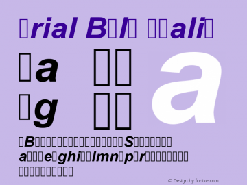 Arial Bold Italic Version 6.98 Font Sample
