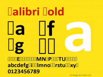 Calibri Bold Version 6.20 Font Sample