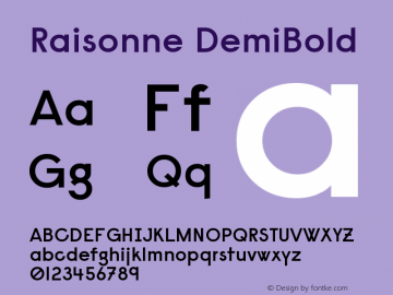 Raisonne DemiBold Version 1.000 Font Sample