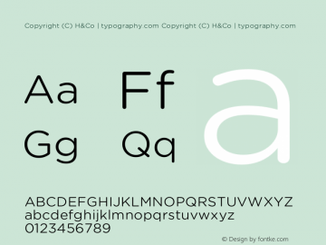 Copyright (C) H&Co | typography.com Version 1.301图片样张