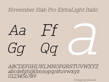 b6ada49f64a22aa7 - subset of November Slab Pro ExLt Ita Version 1.0; 2018图片样张