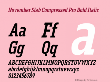 3ccc2bff9a224ea7 - subset of November Slab Comp Pro Bld Ita Version 1.0; 2018图片样张