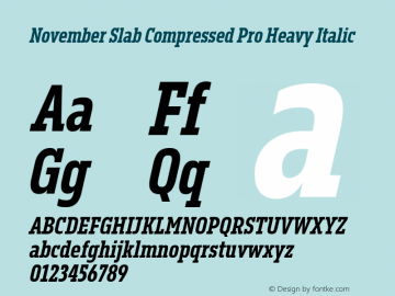 89709cfeac9c224f - subset of November Slab Comp Pro Hea Ita Version 1.0; 2018 Font Sample