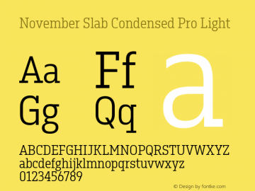 32def20ca045ed5a - subset of November Slab Cond Pro Lt Version 1.0; 2018 Font Sample