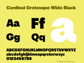 Cardinal Grotesque Wide Black Version 1.000;PS 001.000;hotconv 1.0.88;makeotf.lib2.5.64775 Font Sample