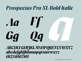 Prospectus Pro XL Bold Italic Version 1.000;ProspectusPro Font Sample