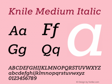 Knile-MediumItalic Version 1.0 | Demo图片样张