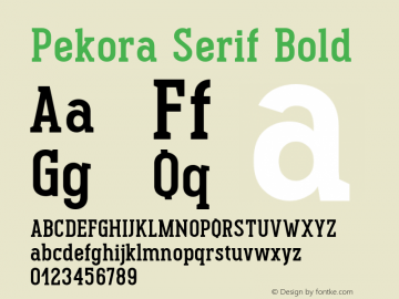 PekoraSerif-Bold 1.000;com.myfonts.blazej-ostoja-lniski.pekora.bold-serif.wfkit2.4ccx Font Sample