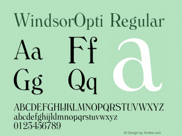 WindsorOpti-LightCondensed Version 1.000;PS 001.001;hotconv 1.0.56图片样张
