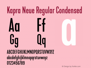 Kapra Neue Regular Condensed Version 1.000;PS 001.000;hotconv 1.0.88;makeotf.lib2.5.64775图片样张