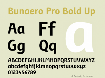 BunaeroPro-BoldUp Version 1.105 Font Sample