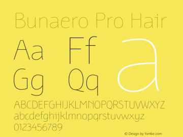BunaeroPro-Hair Version 1.115 Font Sample