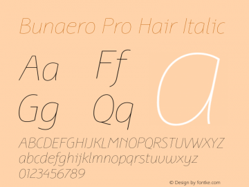 BunaeroPro-HairIt Version 1.100 Font Sample