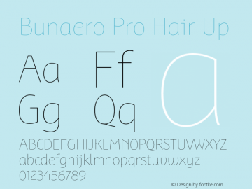 BunaeroPro-HairUp Version 1.105 Font Sample