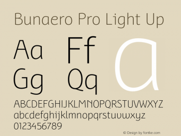BunaeroPro-LightUp Version 1.105图片样张