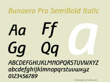 BunaeroPro-SemiBoldIt Version 1.100 Font Sample