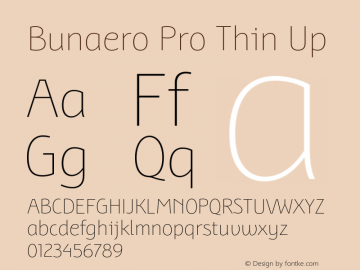 BunaeroPro-ThinUp Version 1.105 Font Sample