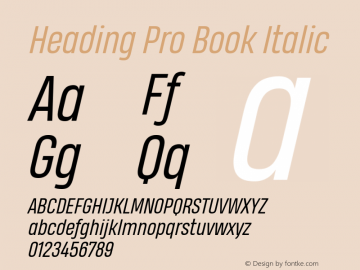 Heading Pro Book Italic Version 1.001图片样张