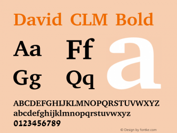 David CLM Bold Version 0.132图片样张