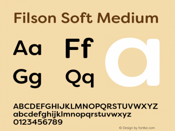 FilsonSoft-Medium Version 1.001图片样张