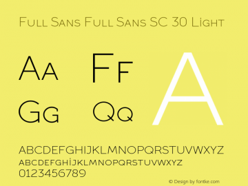 Full Sans Full Sans SC 30 Light Version 1图片样张