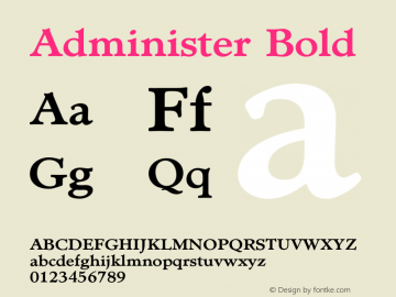 Administer Bold Version 1.00, build 2, s3图片样张