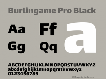 Burlingame Pro Black Version 1.000图片样张