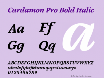 Cardamon Pro Bold Italic Version 1.00图片样张