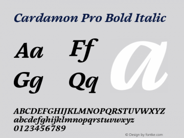 Cardamon Pro Bold Italic Version 1.00图片样张