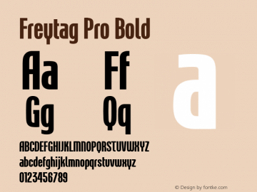 Freytag Pro Bold Version 1.01图片样张