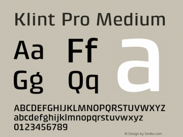 Klint Pro Medium Version 1.00图片样张