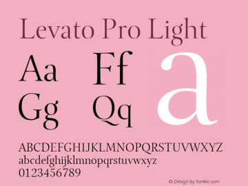 Levato Pro Light Version 1.00图片样张