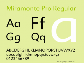 Miramonte Pro Version 1.20 Font Sample