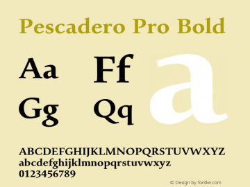 Pescadero Pro Bold Version 1.00 Font Sample