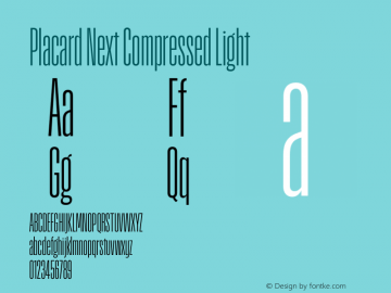 Placard Next Comp Light Version 1.00, build 12, g2.4.2 b1029, s3图片样张