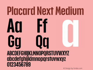 Placard Next Medium Version 1.00, build 12, g2.4.2 b1029, s3图片样张