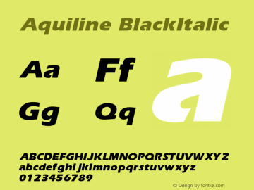 Aquiline BlackItalic Rev. 003.000 Font Sample