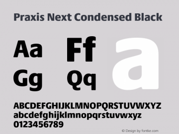 Praxis Next Cn Black Version 1.00, build 6, g2.4.3 b983, s3 Font Sample