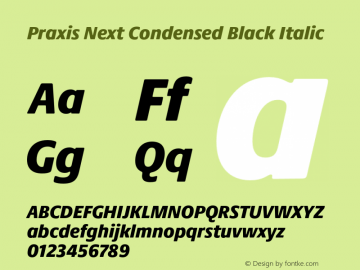 Praxis Next Cn Black It Version 1.00, build 6, g2.4.3 b983, s3 Font Sample