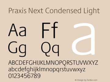 Praxis Next Cn Light Version 1.00, build 6, g2.4.3 b983, s3 Font Sample