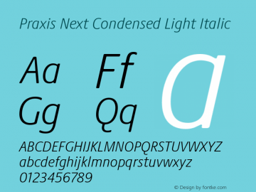 Praxis Next Cn Light It Version 1.00, build 7, g2.4.3 b983, s3 Font Sample