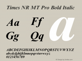 Times NR MT Pro Bold Italic Version 1.00 Build 1000 Font Sample