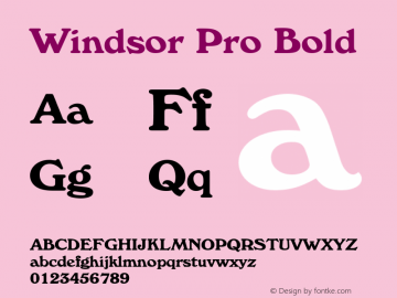 Windsor Pro Bold Version 2.00图片样张