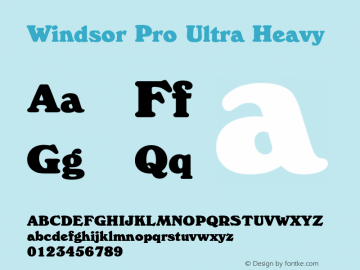 Windsor Pro Ultra Heavy Version 2.00图片样张