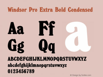 Windsor Pro Extra Bold Condensed Version 2.00 Font Sample