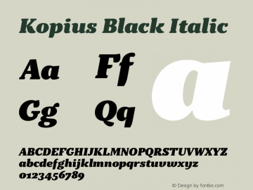 Kopius Black Italic Version 1.001图片样张