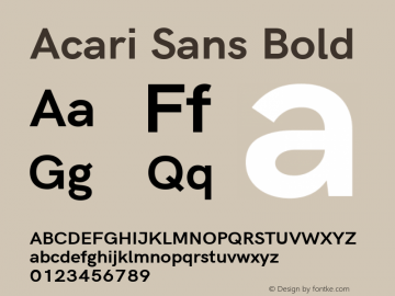 Acari Sans Bold Version 1.045 Font Sample