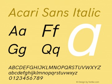 Acari Sans Italic Version 1.045 Font Sample