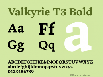 ValkyrieT3-Bold 1.115图片样张